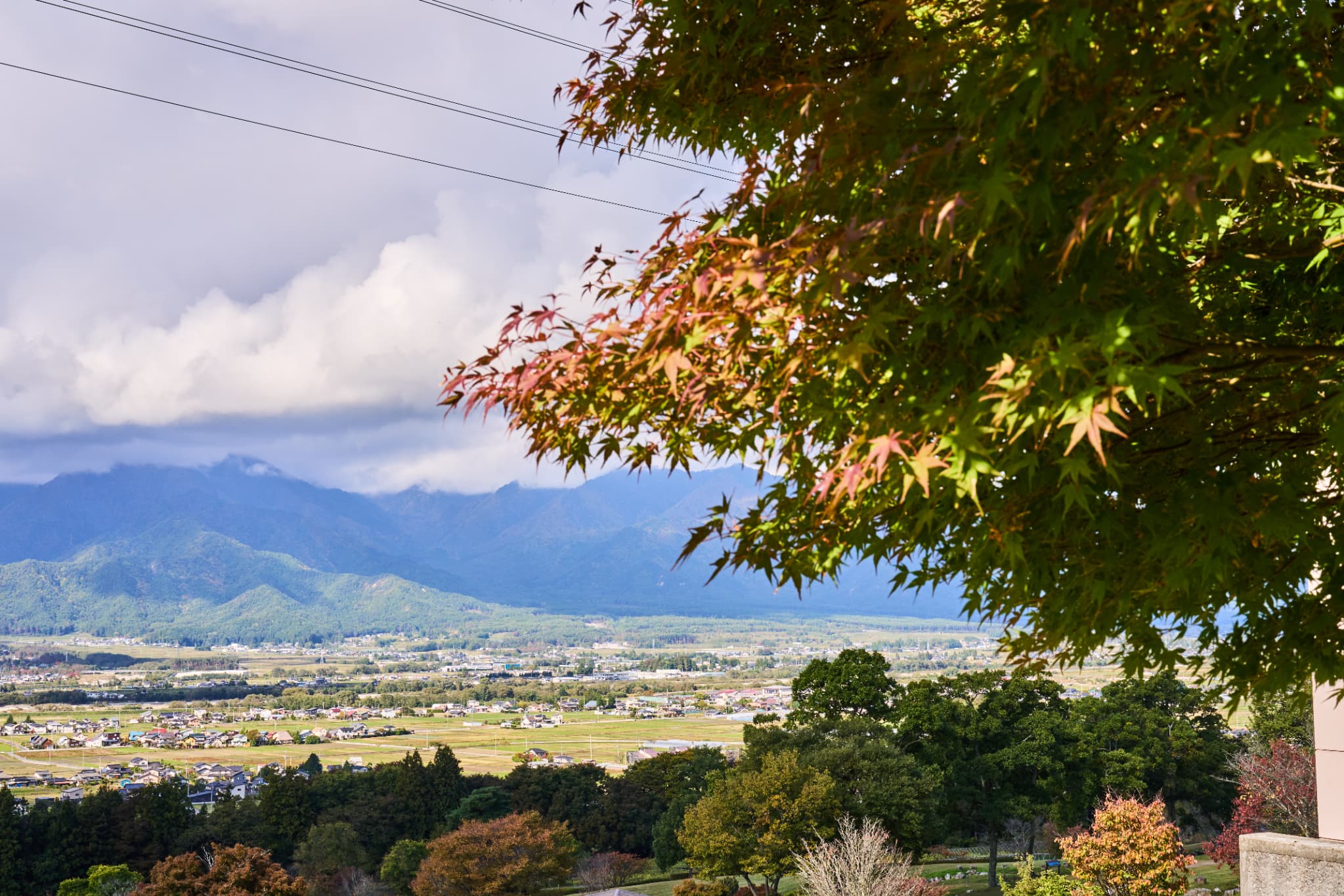 上空からの景色